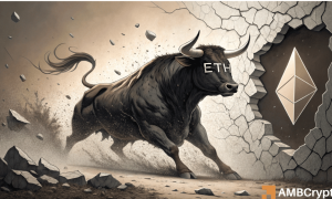 Rhhdtrg 1000x600.png