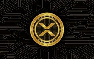 Xrp from adobe stock 4.jpg