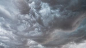 Landscape 8029037 1280 e1735745599892.jpg