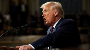 1 934f44 e1741399929329.png