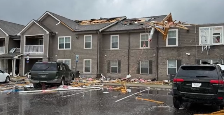 Captura de tela 2025 04 03 150014 e1743703284778.png