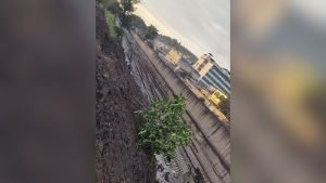 Design sem nome 31 1.jpg