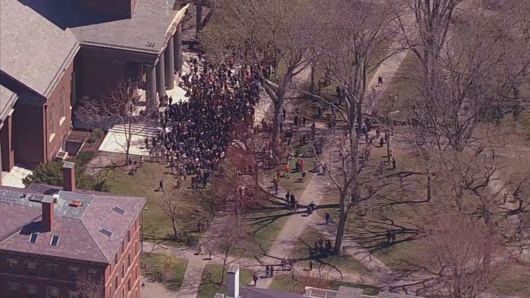 Edc nvd 180425 il aereas protestos frame 819.jpeg