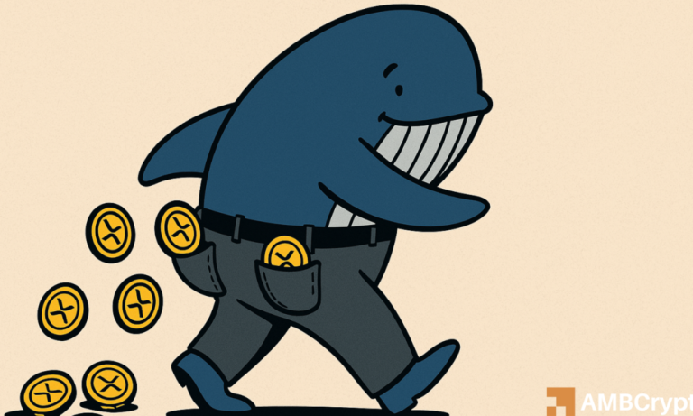 Editors 2 1000x600.png