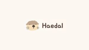 Haedal token airdrop guide.jpg