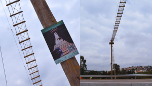 Imagem mostra passagem para animais as margens de rodovia no interior paulista.png