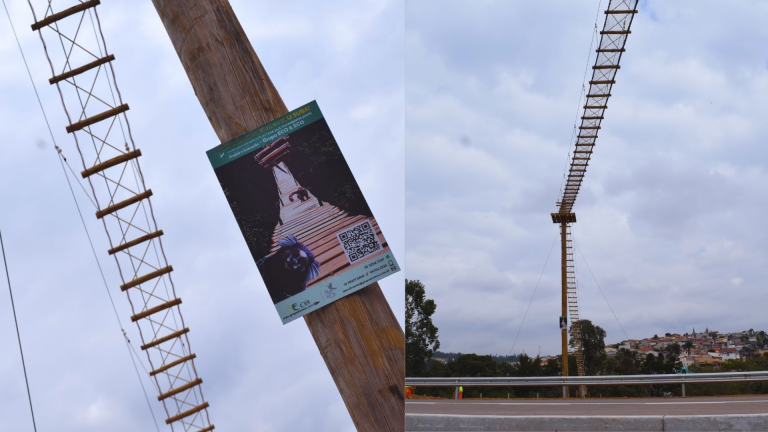 Imagem mostra passagem para animais as margens de rodovia no interior paulista.png