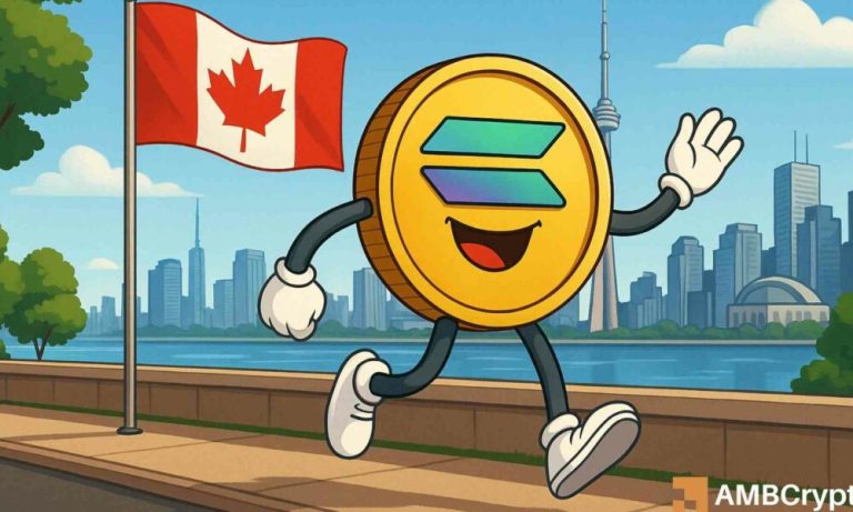 Solanasoletfwp 1000x600.jpg