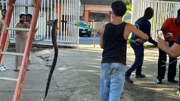 Whatsapp image 2025 04 17 at 16.46.57 4 e1744928483511.jpeg