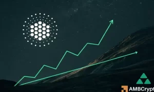 Editors 3 1000x600.webp.webp