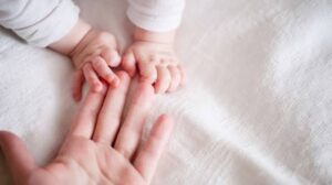 STF discutirá em plenário físico validade de normas sobre licenças parentais de servidores