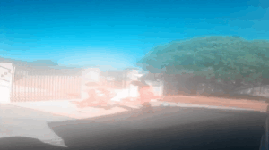 Tergdfvcx e1746535469152.png