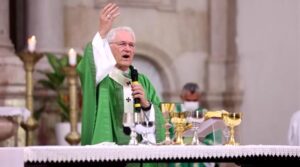 Cardeal amazonia.jpg