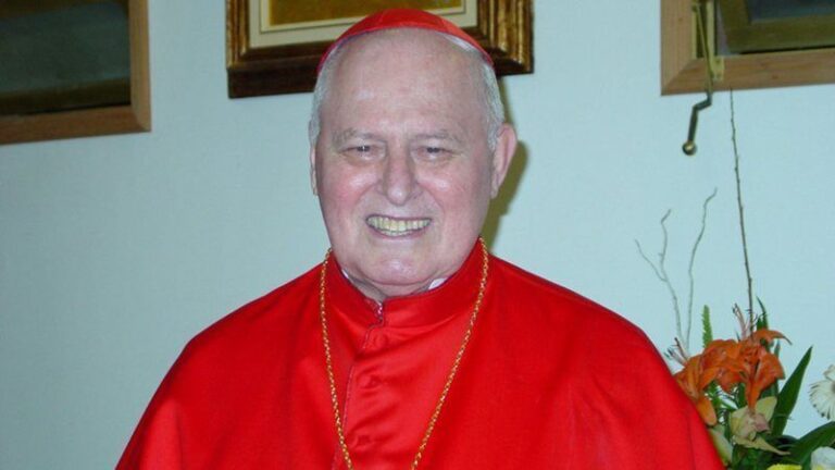 Dom aloisio capa widelg.jpg