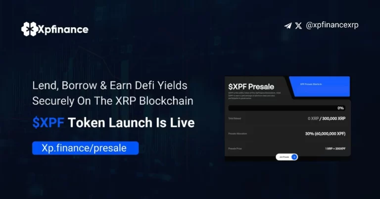 Xp finance.webp.webp