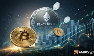 Kelvin 34 1 1000x600.webp.webp