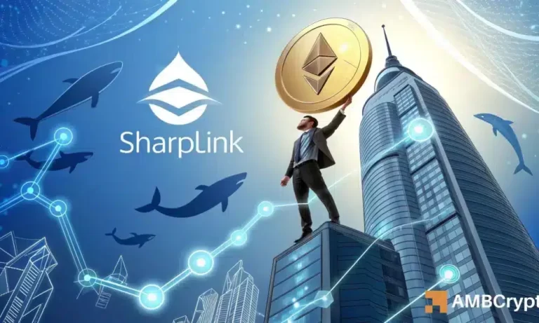 Kelvin 46 1000x600.webp.webp