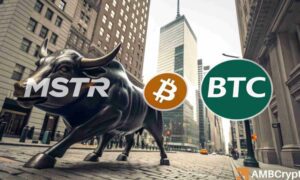 Mstrstock 1000x600.jpg