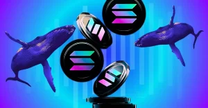 Whales propel the solana price beyond 145e28094is it a short term rebound or a start of a fine re.webp