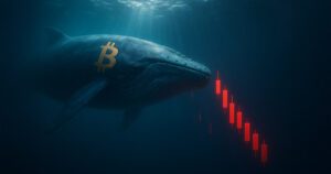 Bitcoin whale loses.jpg