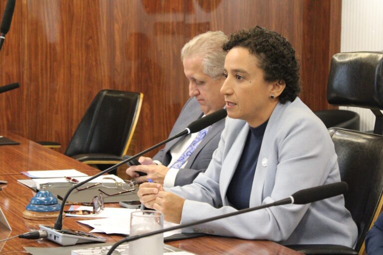 Conselho da OAB-ES aprova mudanças na votação do Quinto Constitucional e institui paridade de gênero