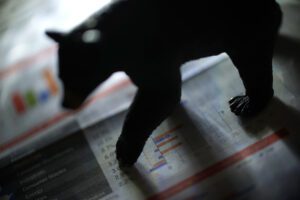 Istock 862006548.jpg