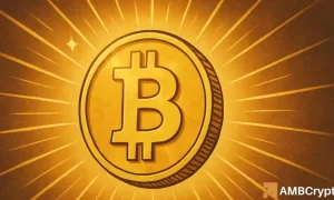 26f6dae6 5422 4c39 8551 34f8d2e473e0 1000x600.webp.webp