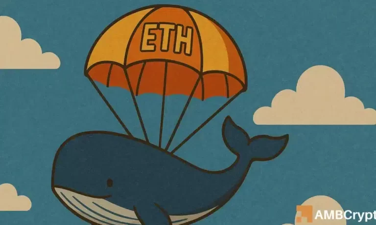 39fb2f15 8509 4df0 a6e4 9cd135b09405 1000x600.webp.webp