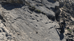 Com 78 mil anos, raríssimas pegadas de família neandertal são achadas em praia