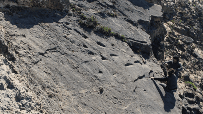 Com 78 mil anos, raríssimas pegadas de família neandertal são achadas em praia