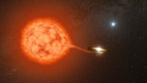 Estrelas vorazes vampiras podem usar cúmplices para ajudar devorar suas vítimas