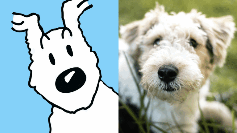 Fox Terrier | Conheça a raça do Milu, o cachorro do Tintim que bebia whisky