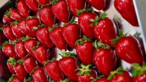 Item secreto | Qual é o papel do cremor tártaro na receita do morango do amor?