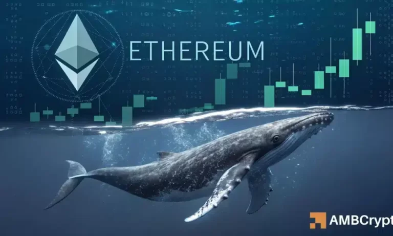 Kelvin 73 1000x600.webp.webp