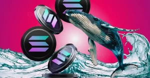 Whales trigger a huge sell off solana sol price rally feared to drop by 20 this month 1.webp.webp