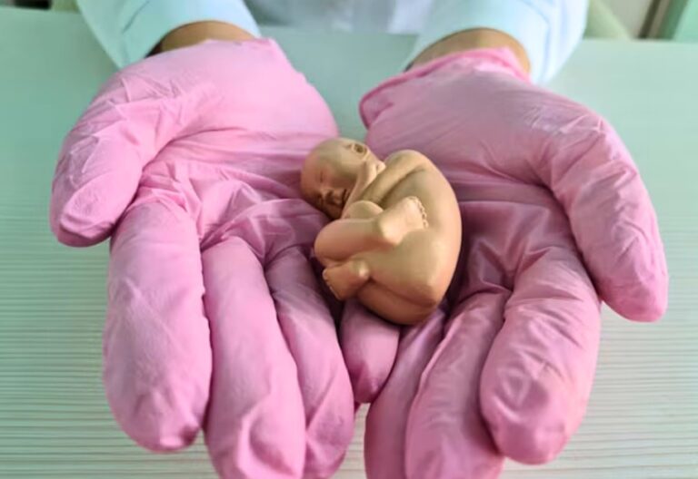 Justiça suspende lei que exige cartazes contra aborto em unidades de saúde no RJ