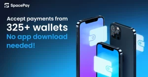 Spacepay.webp.webp
