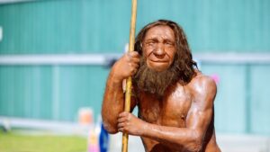Assinaturas químicas em ossos antigos apontam que os neandertais comiam larvas