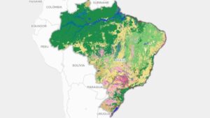Como o MapBiomas usa IA do Google para mapear e conservar áreas verdes no Brasil