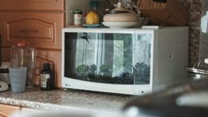 Física na cozinha | Por que o micro-ondas esquenta a comida de dentro para fora?