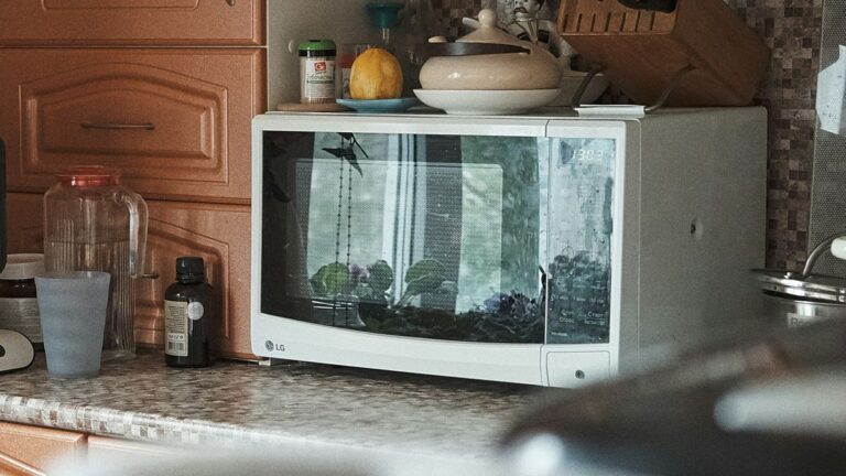 Física na cozinha | Por que o micro-ondas esquenta a comida de dentro para fora?