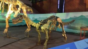 Icônico dinossauro de pescoço longo conseguia se equilibrar só em duas patas