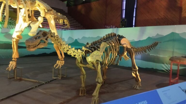 Icônico dinossauro de pescoço longo conseguia se equilibrar só em duas patas