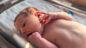 Os cientistas fizeram as contas de quantos bebês FIV já nasceram em todo o mundo