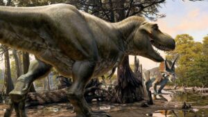 Parentes do T. Rex dançavam para atrair parceiros em uma arena de acasalamento