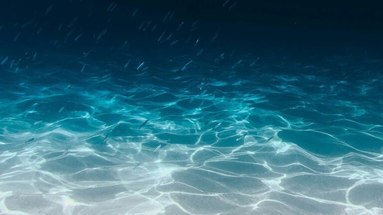 Pedaços gigantes do fundo do mar estão misteriosamente de cabeça para baixo