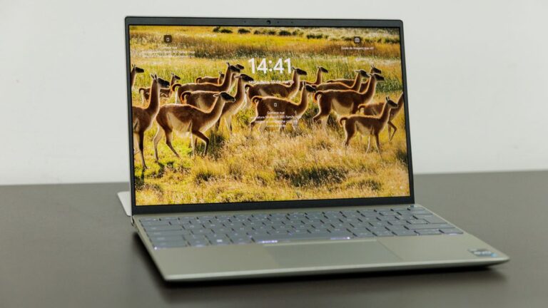 Vai atualizar para o Windows 11? 5 dicas para preparar o seu computador