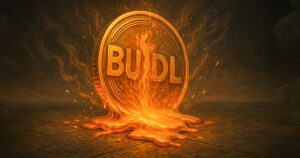 Buidl blackrock.jpg
