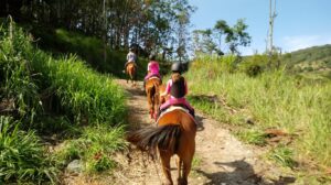 Não é preciso provar dano moral após acidente de trabalho, reitera TST em caso de mulher que caiu de cavalo em parque temático