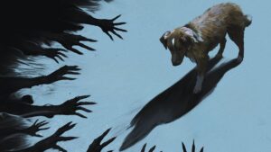 Bom Menino: tudo sobre filme de terror contado da perspectiva de um cachorro